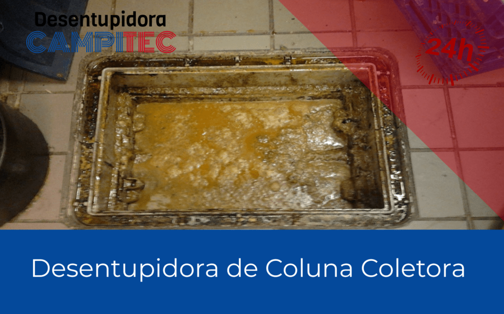 Desentupidora de Caixa de Gordura em Campinas